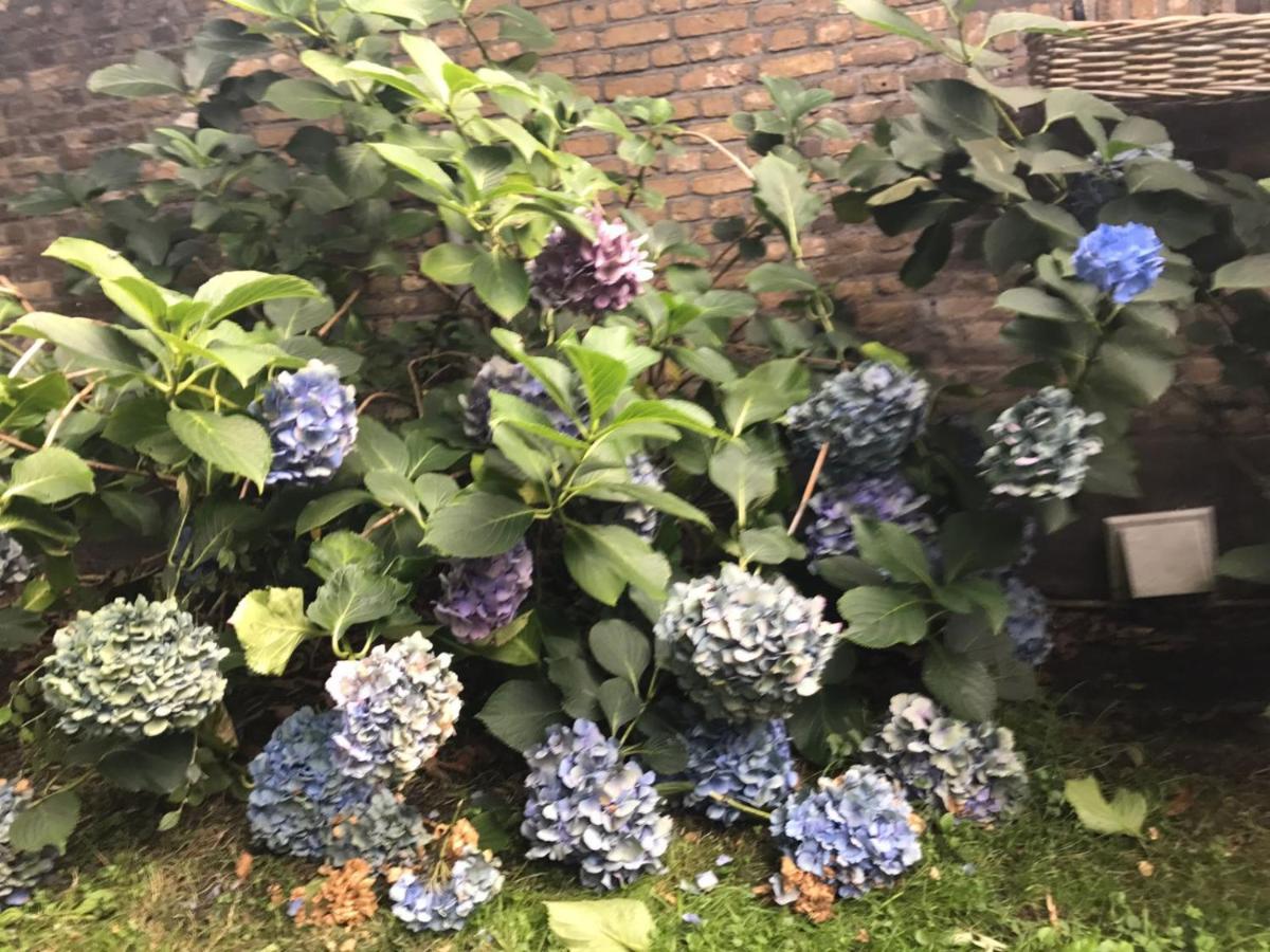 B&B Charming Farmhouse Prinsenbeek Zewnętrze zdjęcie